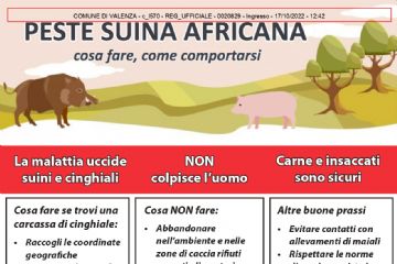 peste suina africana - vademecum su cosa fare 